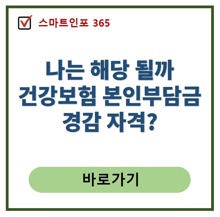 건강보험 본인부담금