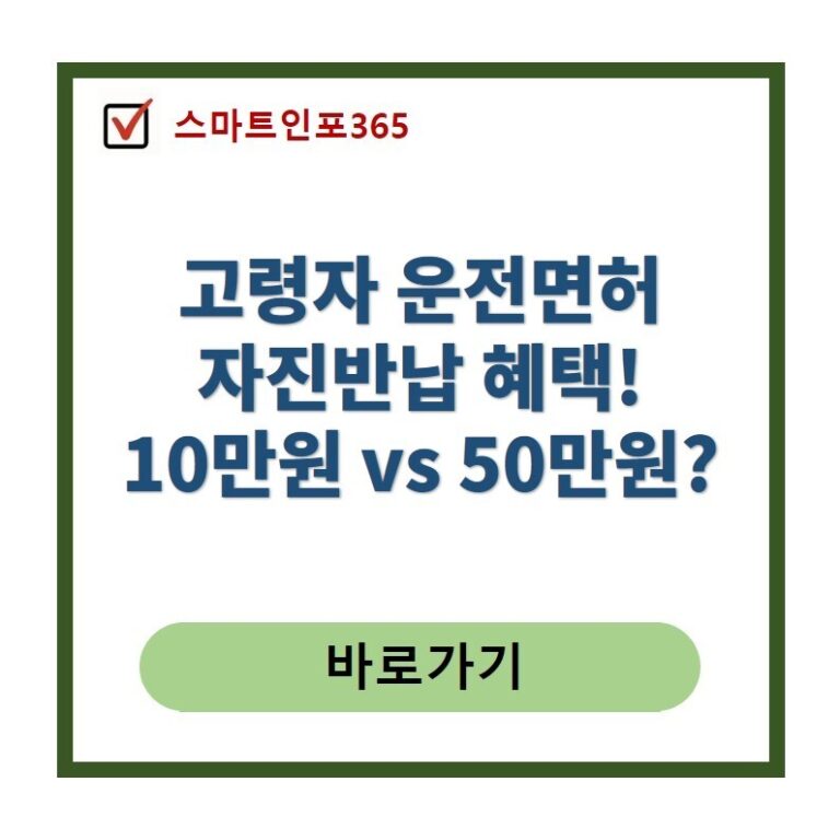 고령자 운전면허